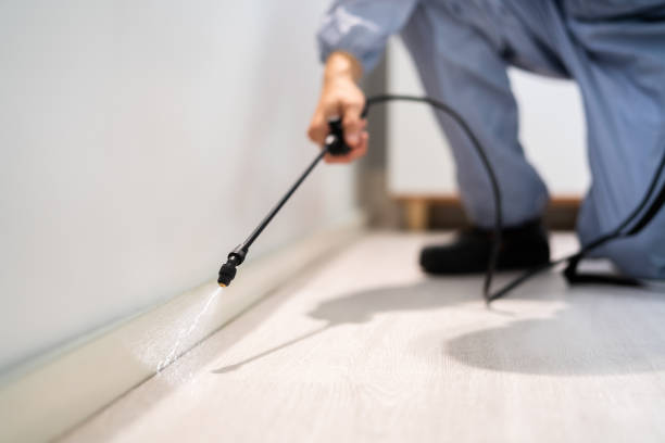 Bed Bug Pre-Treatment Preparation Assessment in Harlan