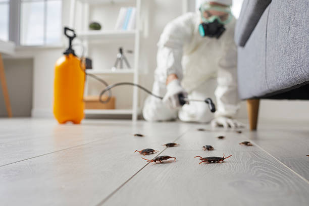 Post-Treatment Bed Bug Interceptor Monitoring in Harlan
