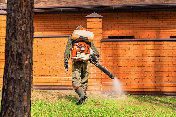 Bed Bug Clearance Verification and Documentation in Harlan